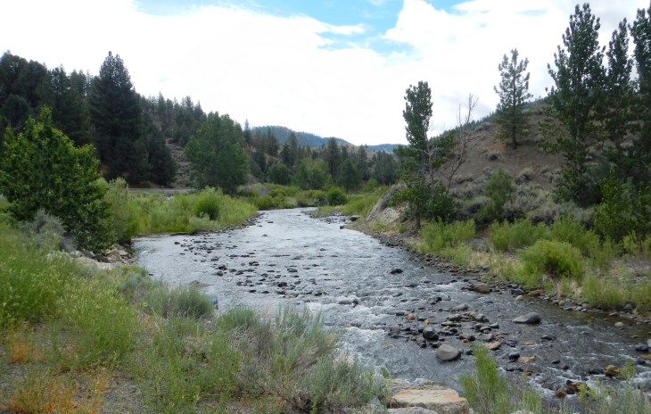 East Fork Carson River