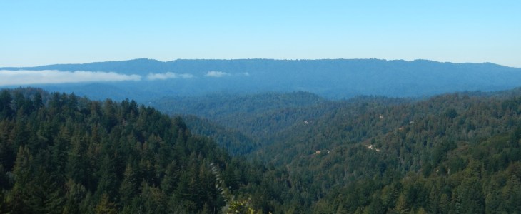 Santa Cruz Mountains