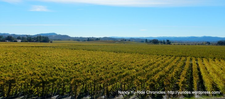 alexander valley
