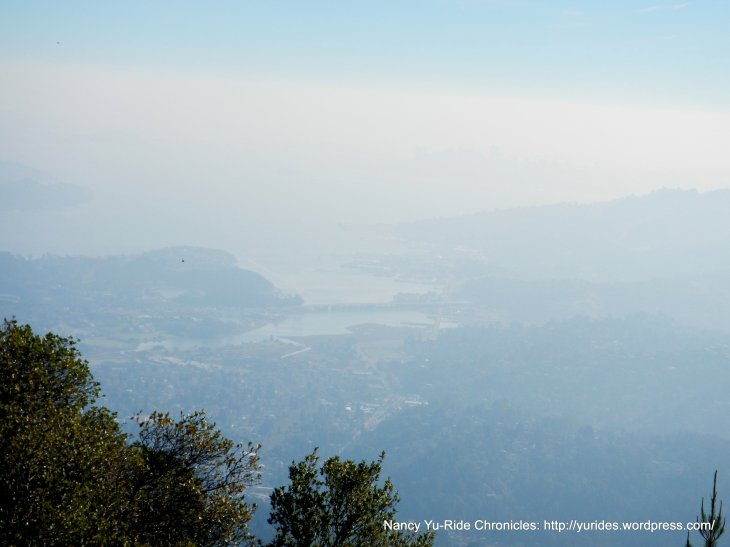 sf bay views