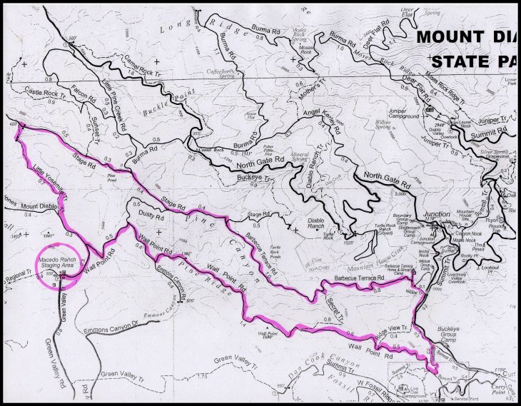 Wall Point Pine Canyon