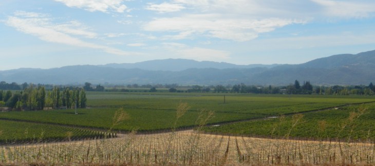 Napa Valley
