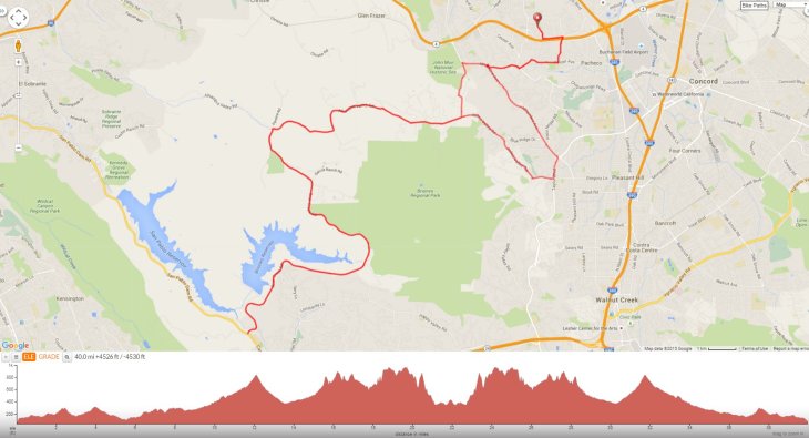 Reliez Alhambra Bear