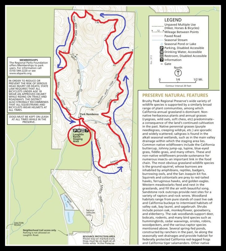 Brushy Peak Map